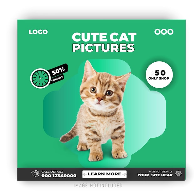 Modelo de redes sociales y negocios del Día del Gato