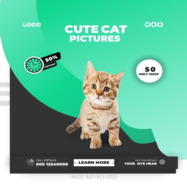 Modelo de redes sociales y negocios del Día del Gato