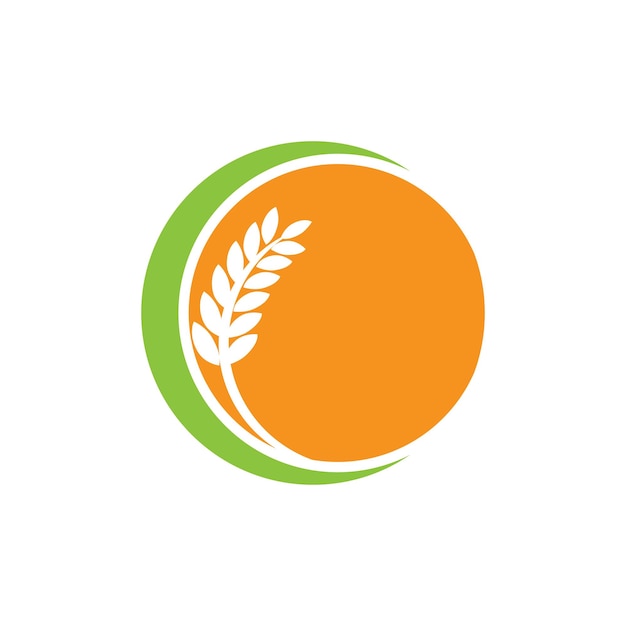 Modelo y símbolo del vector del logotipo de trigo para la agricultura