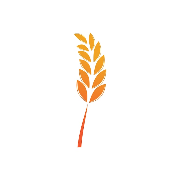 Modelo y símbolo del vector del logotipo de trigo para la agricultura