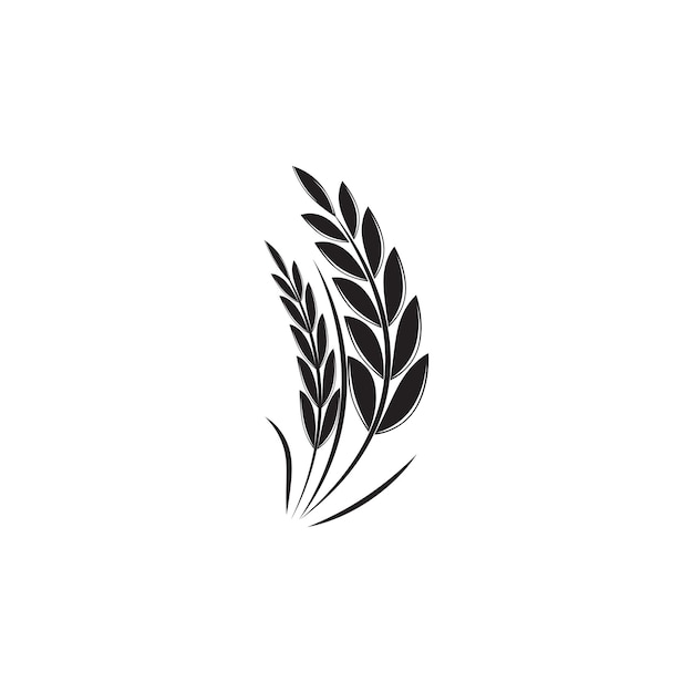 Modelo y símbolo del vector del logotipo de trigo para la agricultura
