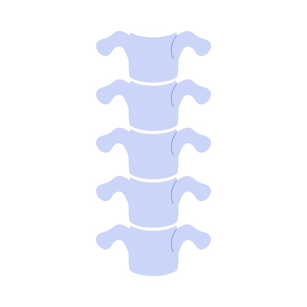 Modelo vertebral anatómico simple de la columna vertebral humana y gráfico médico