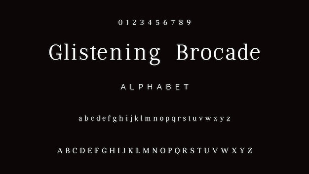 Moderno estiloso serif equilibrado elegante fuente alfabeto vectorial ABC