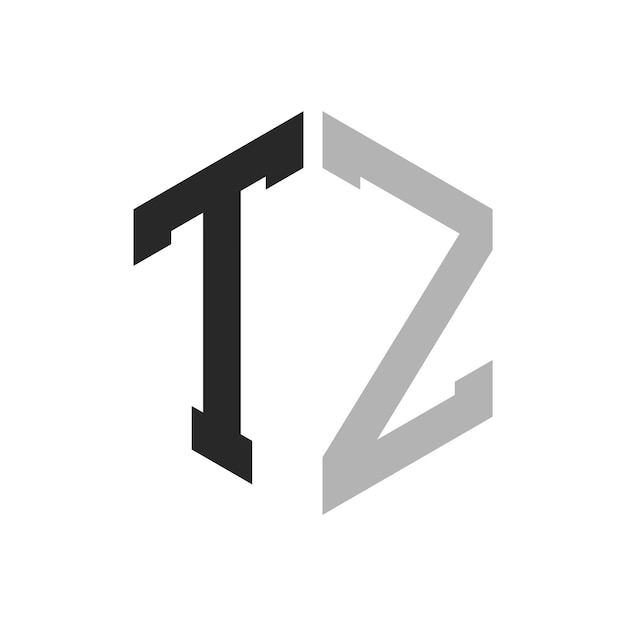 Moderno y único diseño de logotipo de la letra hexagonal TZ Elegante concepto inicial de la letra TZ