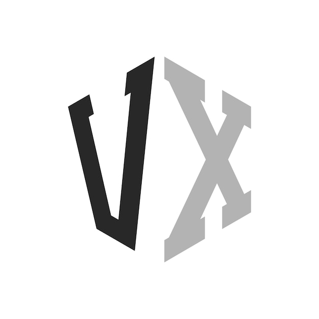 Vector moderno y único diseño de logotipo de letra hexagonal vx elegante concepto de logotipo inicial de letra vx