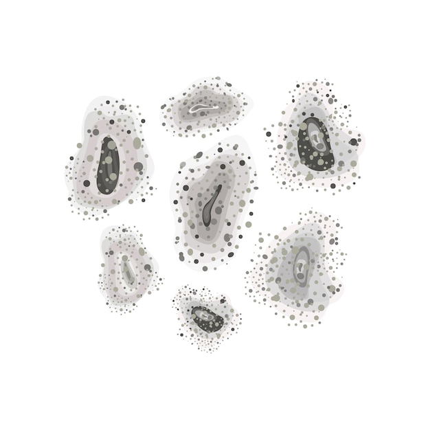 Moho negro. Brote de moho negro. Con esporas tóxicas, hongos, manchas. Enfermedad de mucormicosis. Ilustración vectorial, plana
