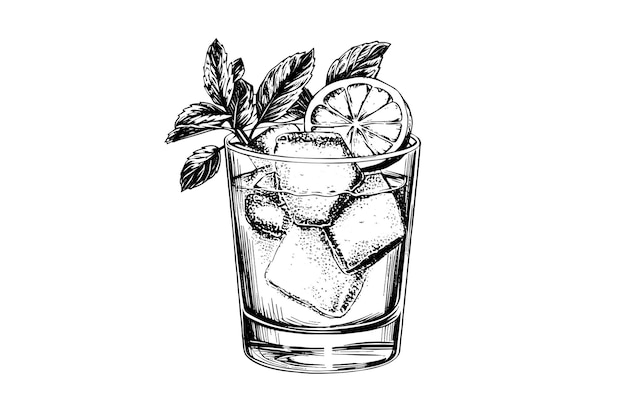 Mojito cóctel grabado aislado bebida vector ilustración composición de boceto en blanco y negro