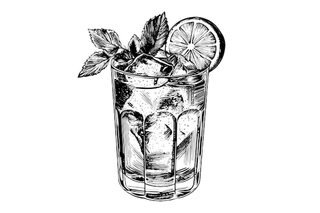 Mojito cóctel grabado aislado bebida vector ilustración composición de boceto en blanco y negro