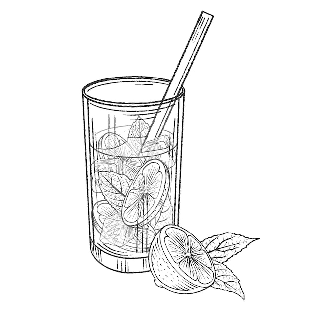 Mojito de cóctel monocromo dibujado a mano con lima, menta y cubitos de hielo. ilustración vectorial aislado en blanco