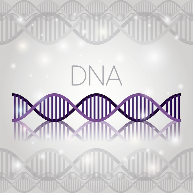 Molécula de ADN en la estructura de la línea