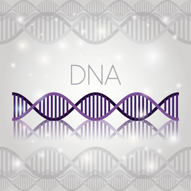 Molécula de adn en la estructura de la línea