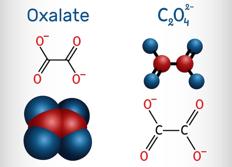 Vector molécula de anión oxalato etanedioato fórmula química estructural y modelo de molécula