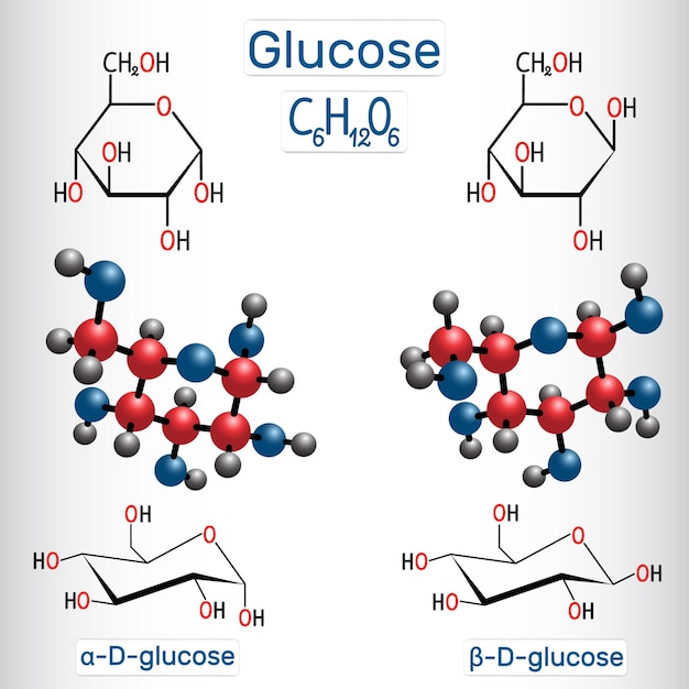 Molécula de azúcar de uva de glucosa Fórmula estructural y modelo molecular