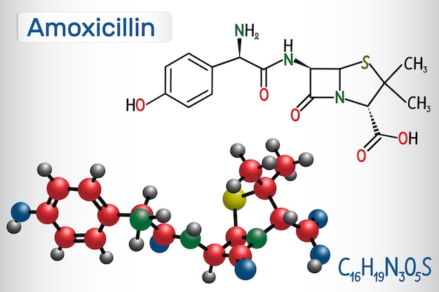 Molécula de fármaco de amoxicilina Es un antibiótico betalactam Modelo de molécula de fórmula química estructural