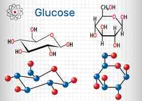 Vector molécula de glucosa en una hoja de papel en una jaula