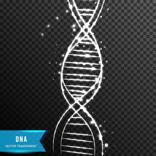 Molécula de hélice de adn de la ilustración de vector de efecto de luz de punto y línea de conexión aislada sobre fondo transparente