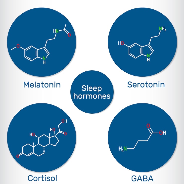 Vector molécula de la hormona del sueño melatonina serotonina gaba ácido gammaaminobutírico cortisol vector