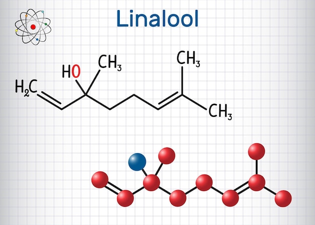 Molécula de linalool Fórmula química estructural y modelo de molécula Hoja de papel en una jaula