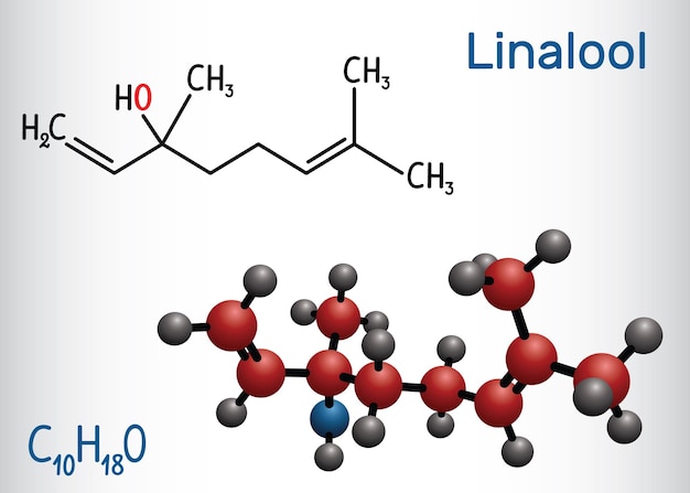 Molécula de linalool Fórmula química estructural y modelo de molécula