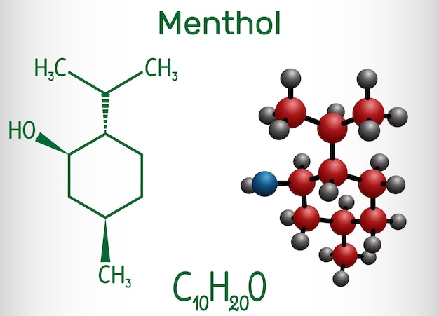 Molécula de mentol Fórmula química estructural y modelo molecular