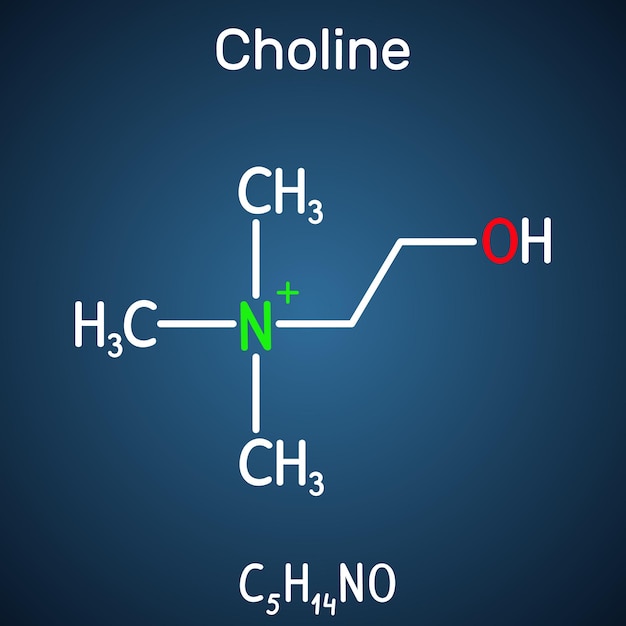 Molécula de nutrientes esenciales similares a las vitaminas de la colina