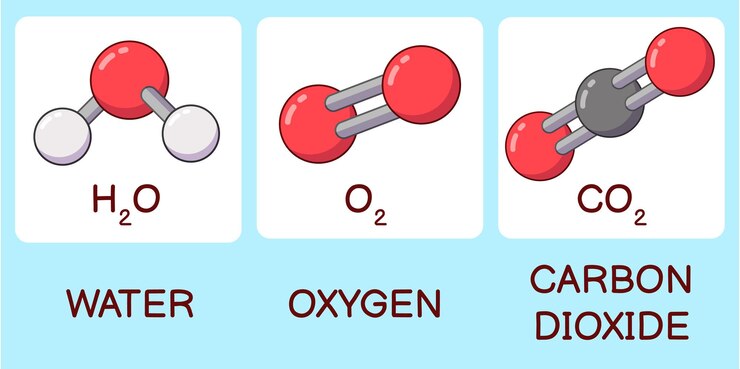 Vector moléculas de dióxido de carbono y oxígeno de agua de dibujos animados