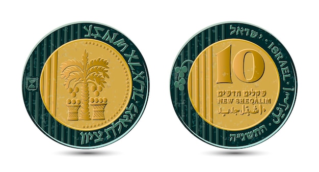Moneda bimetálica israelí de 10 nuevos Shequalim año 1995.