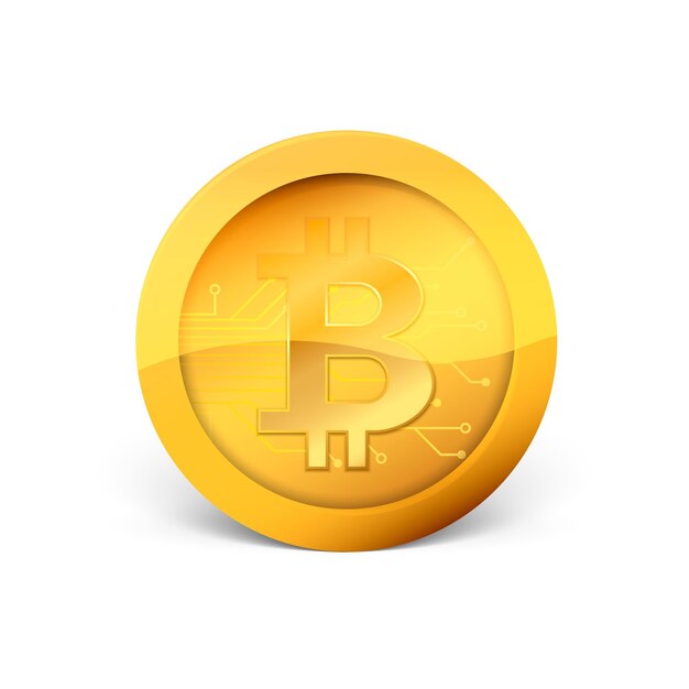 Moneda criptográfica dorada bitcoin Moneda de bit físico Ilustración vectorial