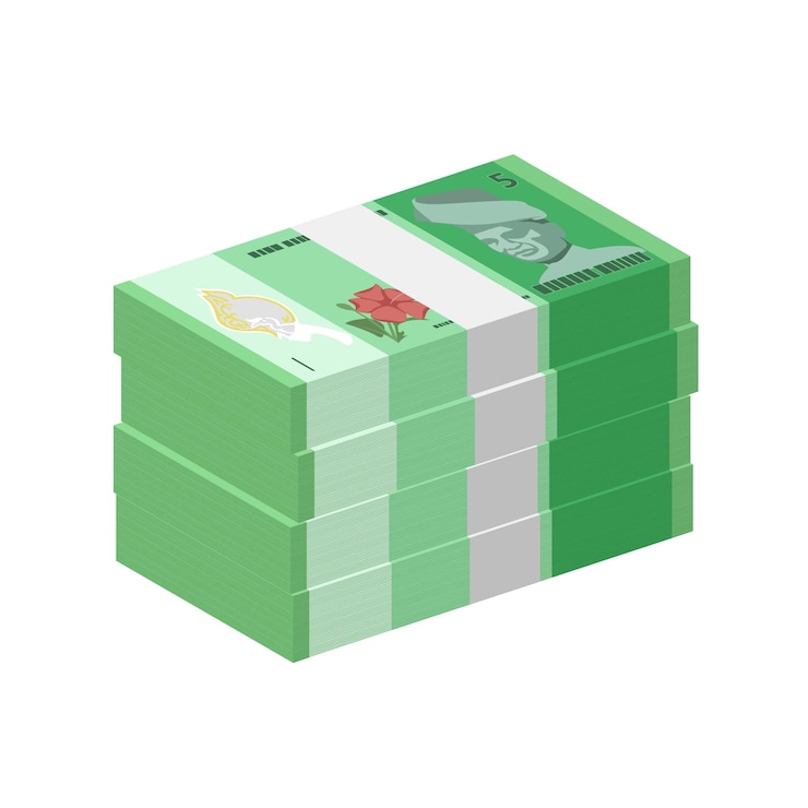 Vector moneda de malasia myr ringgit malasia rm paquete de billetes de papel dinero en efectivo muestra de rm5