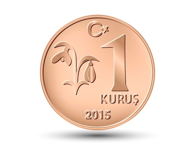 Monedas de Turquía, un kurush. Vector dibujado a mano de moneda turca.
