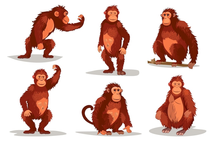 Vector mono ambientado en el estilo de dibujos animados planos un juego de ilustraciones con monos lindos