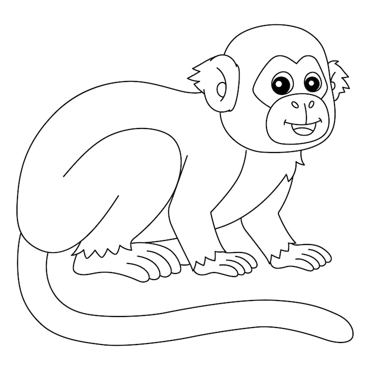 Vector mono ardilla animal aislado página para colorear
