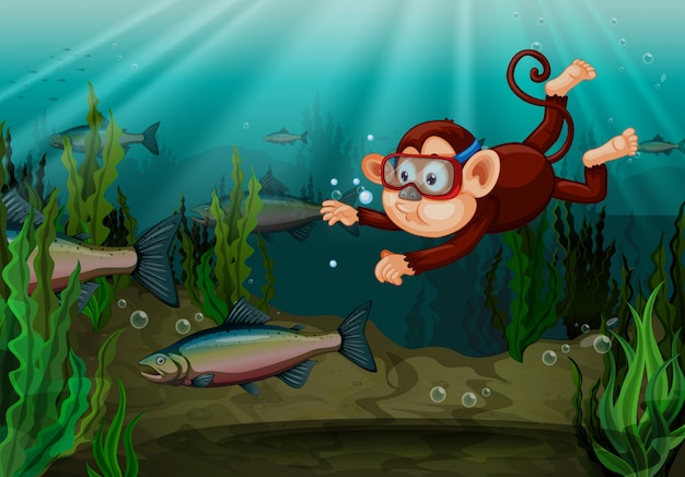 Vector un mono atrapando peces en el río