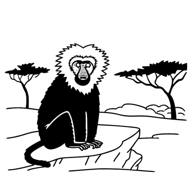 Vector un mono con una cara negra se sienta en una roca