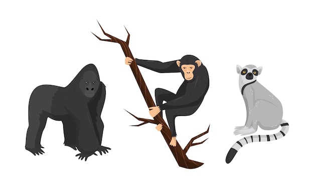 Mono con chimpancé sentado en una rama de árbol Conjunto de vectores