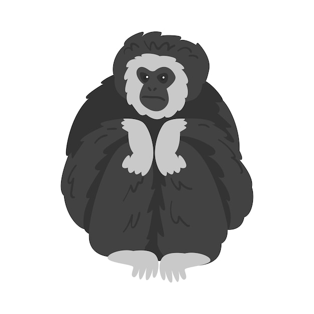 Mono gibón pilado como mono con ilustración vectorial de pelaje peludo negro