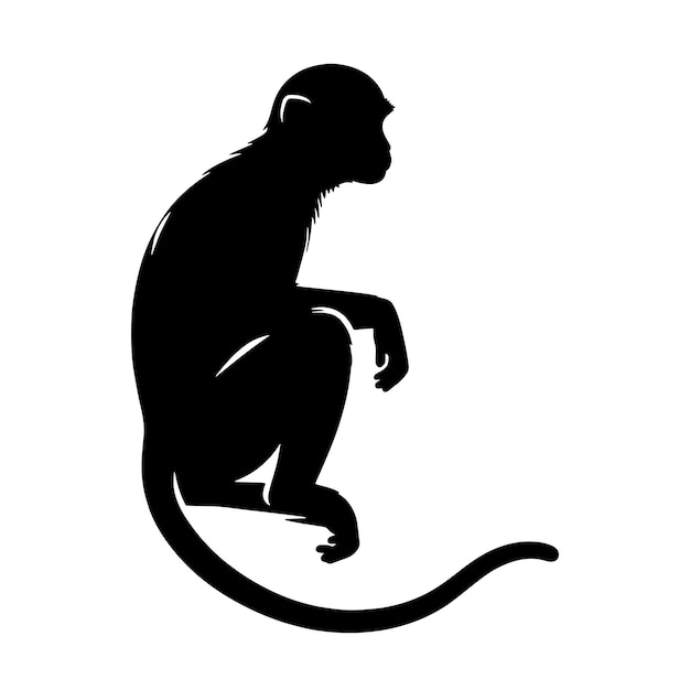 El mono svg