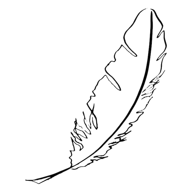 Monocromo blanco y negro pájaro pluma vector bosquejado arte