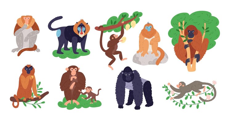 Vector los monos se reproducen los animales de dibujos animados los habitantes de la selva humanoides diferentes primates tropicales los gorilas y los gibones en las ramas de los árboles los mamíferos salvajes los chimpancés o los babuinos