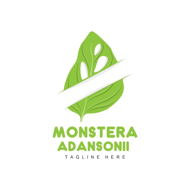 Monstera adansonii leaf logo green plant vector tree vector ilustración de hoja rara