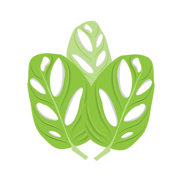 Monstera adansonii Leaf Logo Green Plant Vector Tree Vector Ilustración de hoja rara