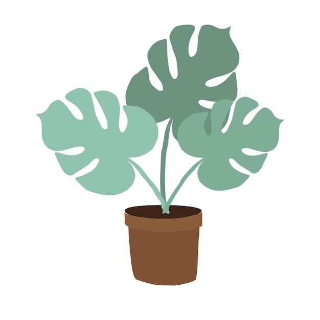 Monstera de color verde dibujada a mano vectorial en maceta