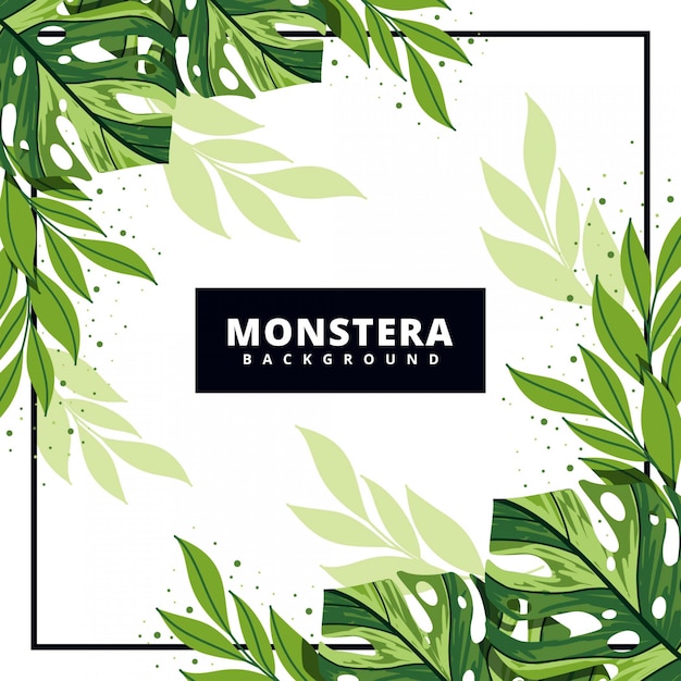 Monstera deja el fondo del marco