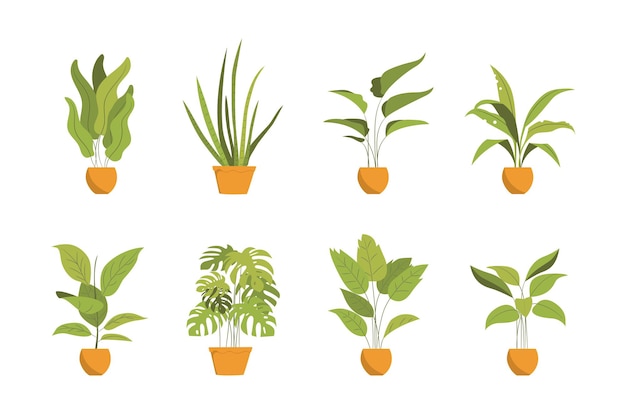 Monstera deja en maceta vector premium set adecuado para múltiples propósitos