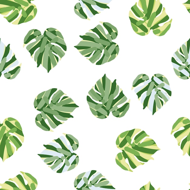 Monstera deja un patrón tropical sin costuras. Fondo de pantalla sin fin de hoja de palma.
