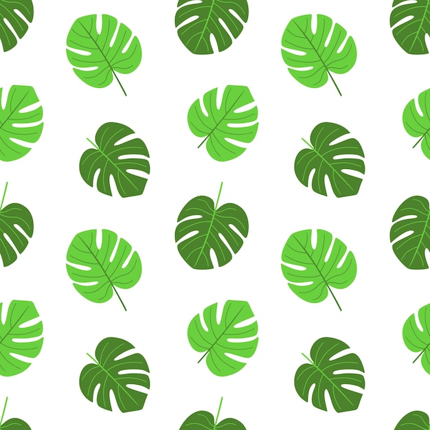 Monstera deja patrones tropicales sin costuras Vector doodle de fondo Diseño decorativo de verano