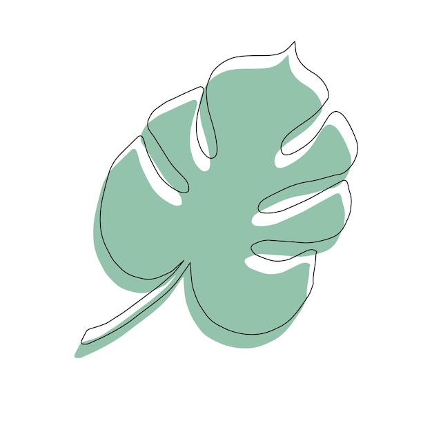 Monstera dibujada a mano vectorial