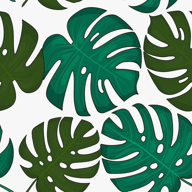 Vector monstera de dibujos animados deja un patrón sin costuras