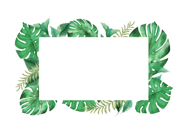 Monstera hojas marco aislado blanco