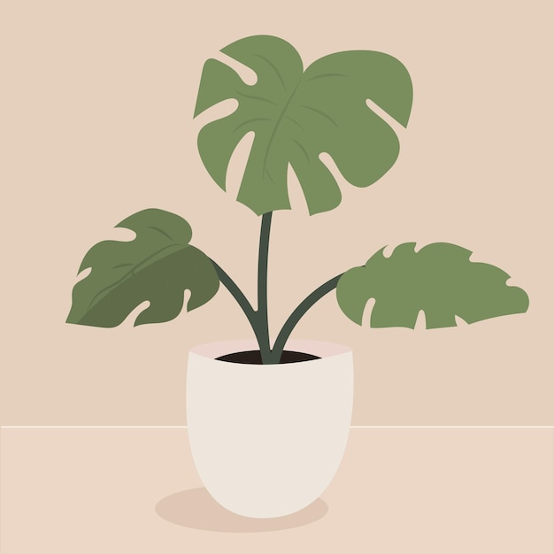 Monstera en una maceta planta tropical para la decoración interior del hogar u oficina ilustración vectorial